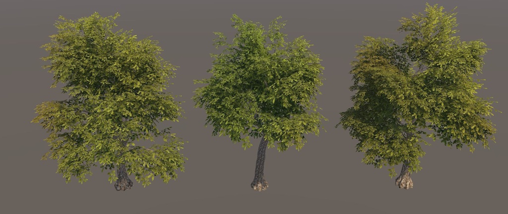 Vegitation set 2: Oak