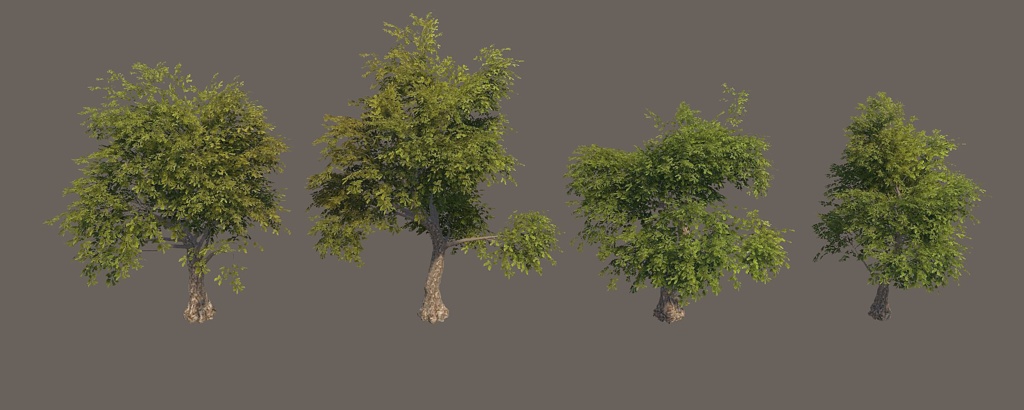 Vegitation set 2: Oak