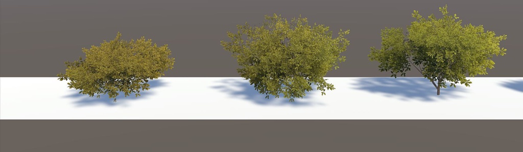 Vegitation set 2: Oak