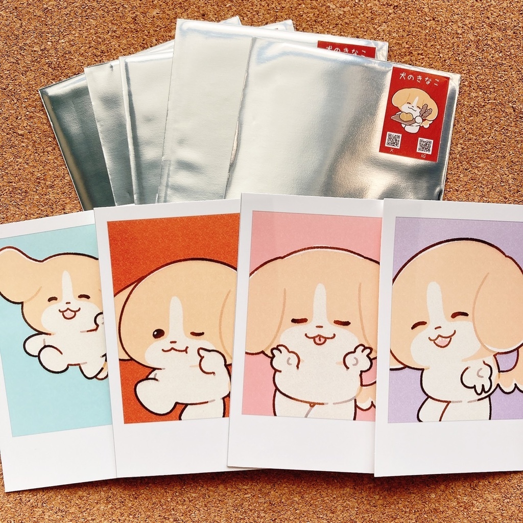 【ランダムチェキ風写真】犬のきなこ