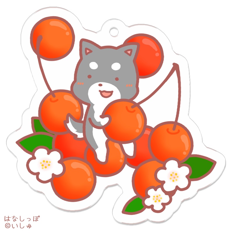 受注販売◆アクキー クムくんとさくらんぼ