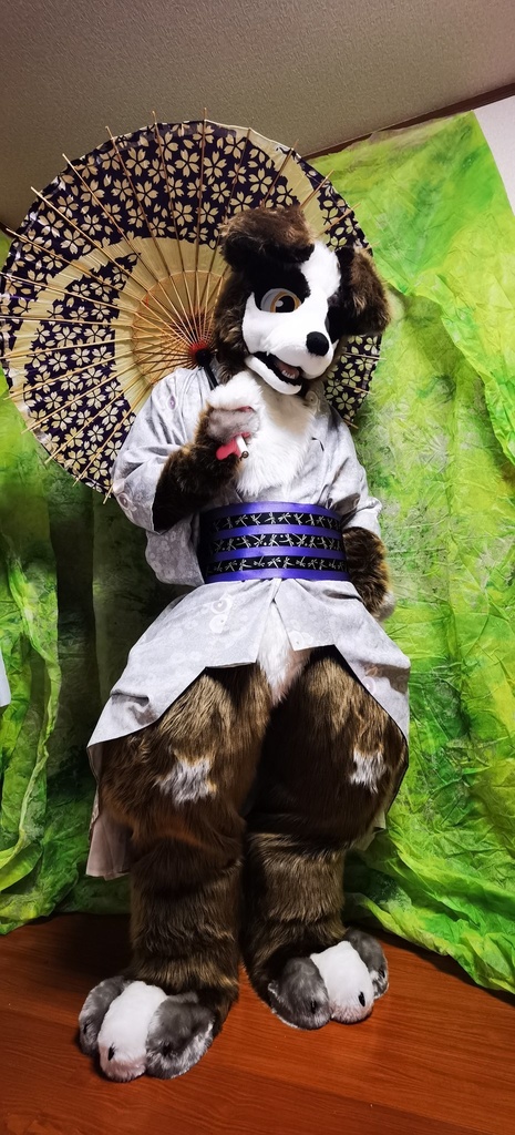 ケモノ　着ぐるみ　ボーダーコリー　fursuit