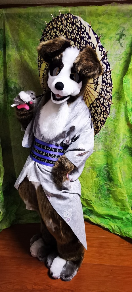 ケモノ 着ぐるみ ボーダーコリー fursuit