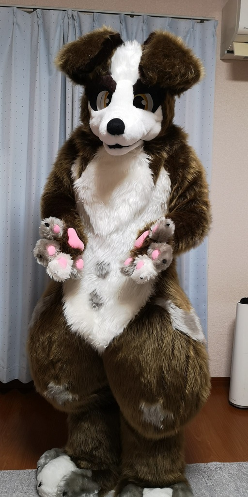 ケモノ　着ぐるみ　ボーダーコリー　fursuit