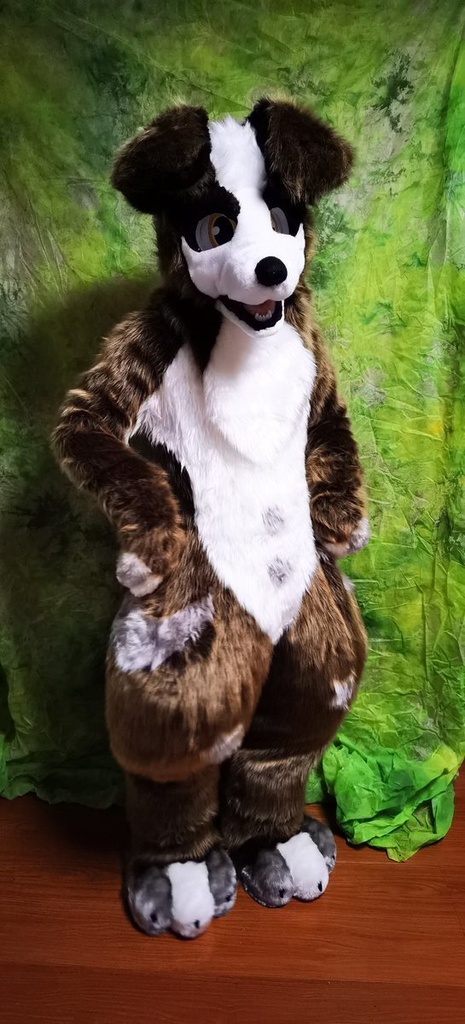 ケモノ 着ぐるみ ボーダーコリー fursuit