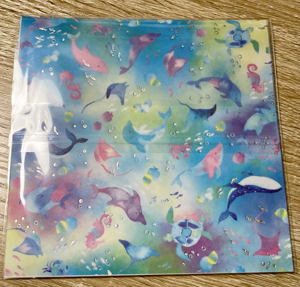 【ピッチ】宝生波音