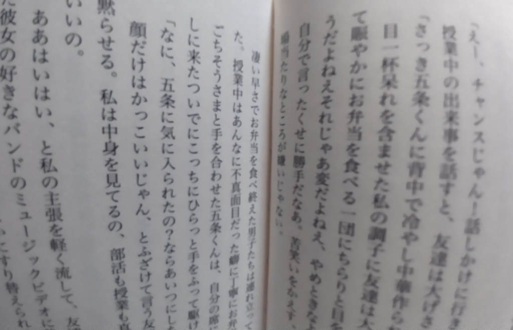 愛しい夏だ、プロタゴニスト