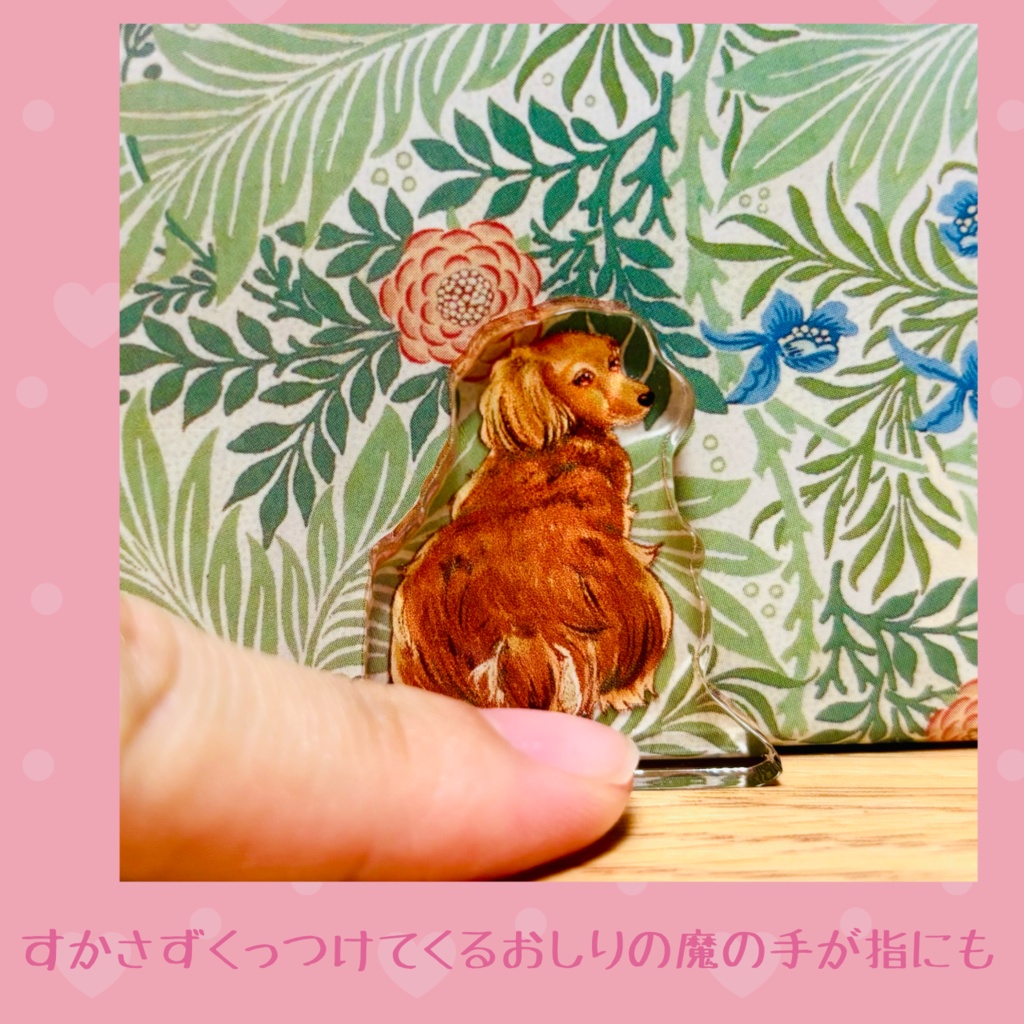 ダックスアクスタ