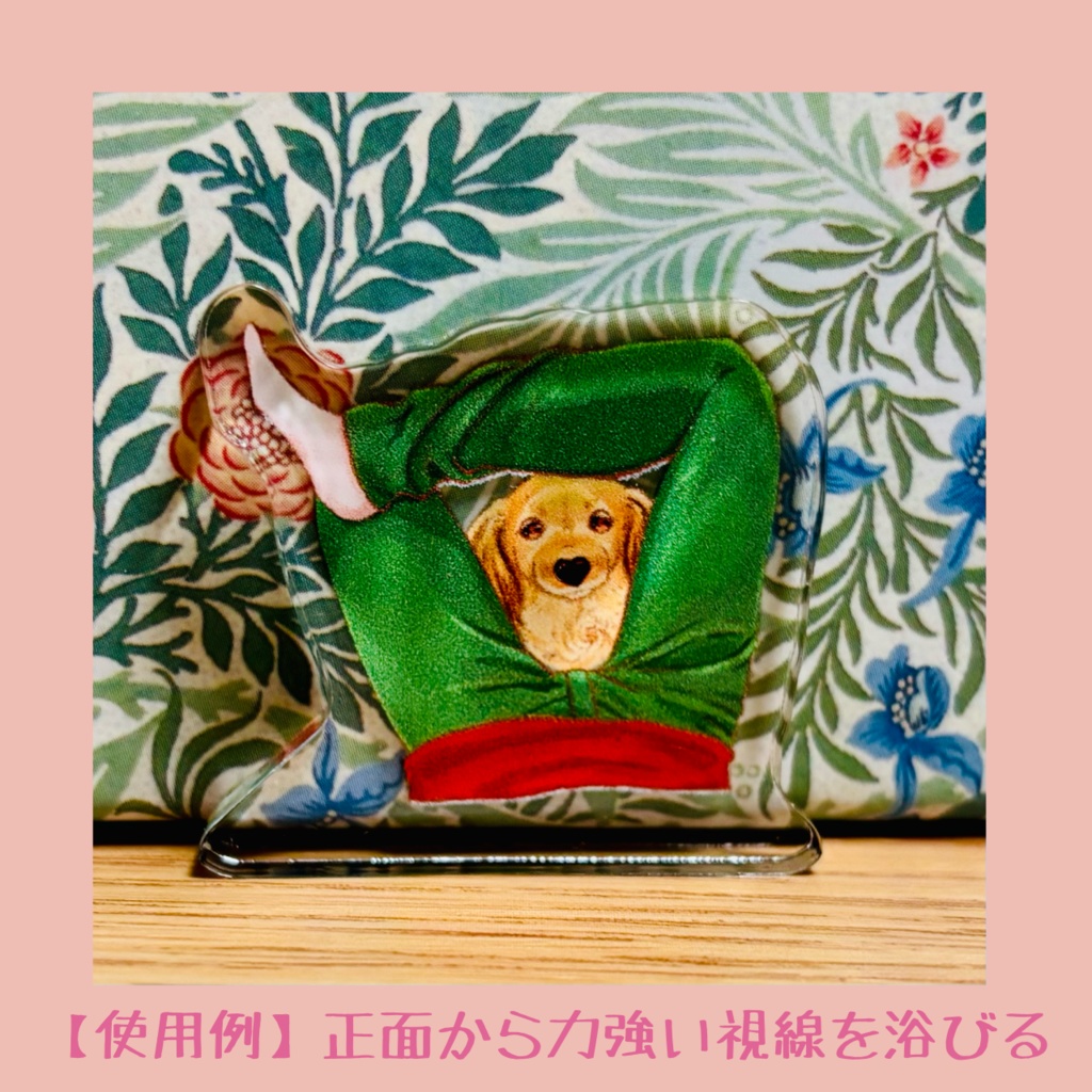 ダックスアクスタ