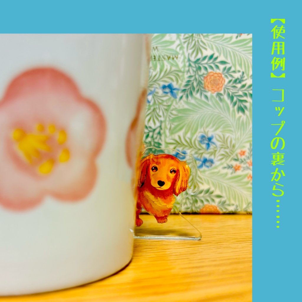 ダックスアクスタ