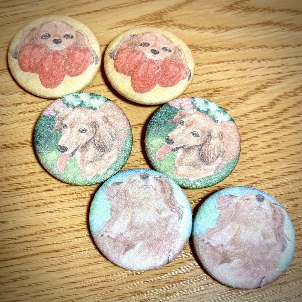 ダックスふわふわ缶バッジ