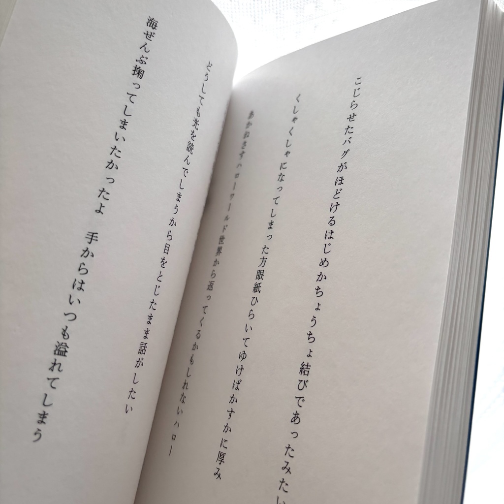 天のいくつか(並製本)