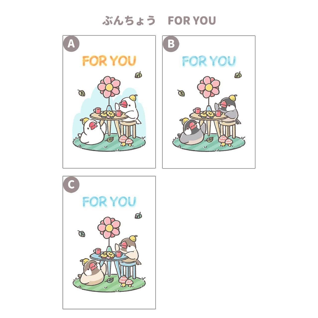 グリーティングカード セキセイ オカメ 文鳥 8種