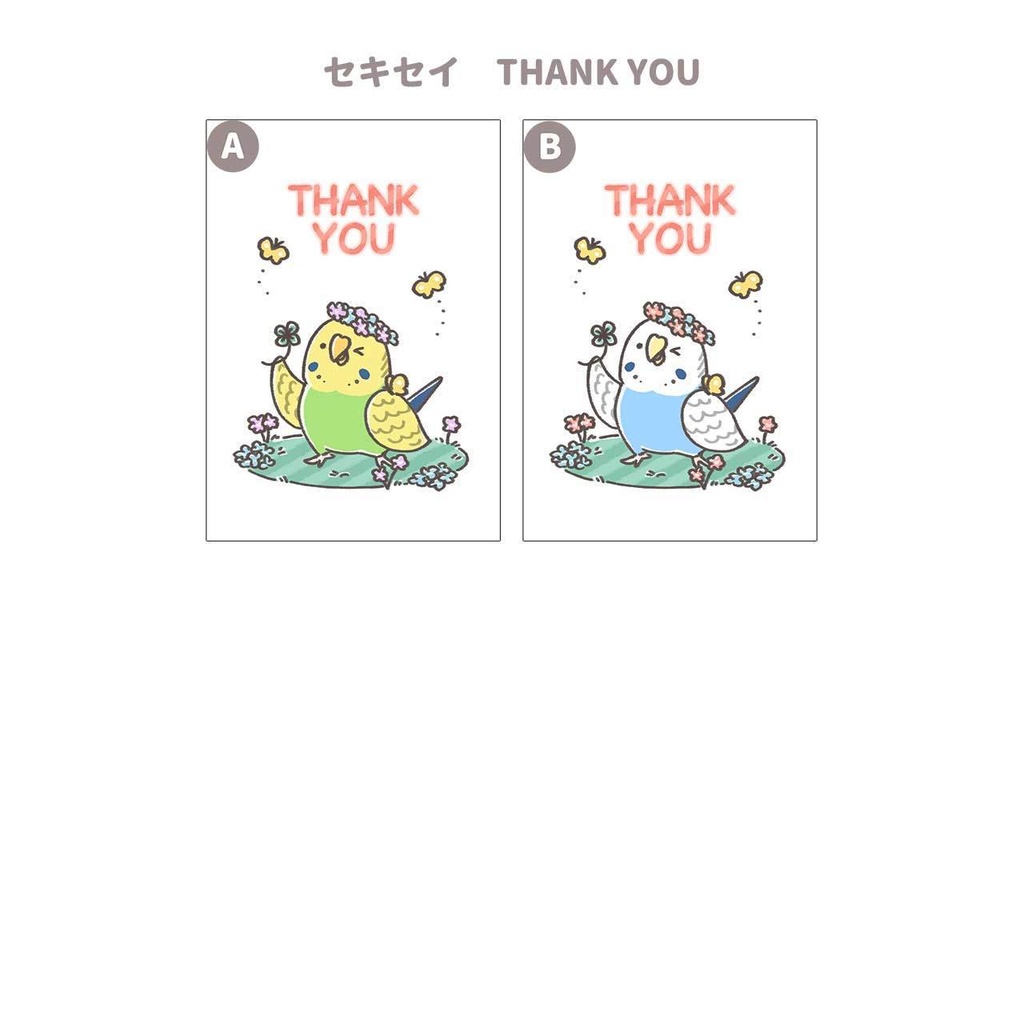 グリーティングカード セキセイ オカメ 文鳥 8種