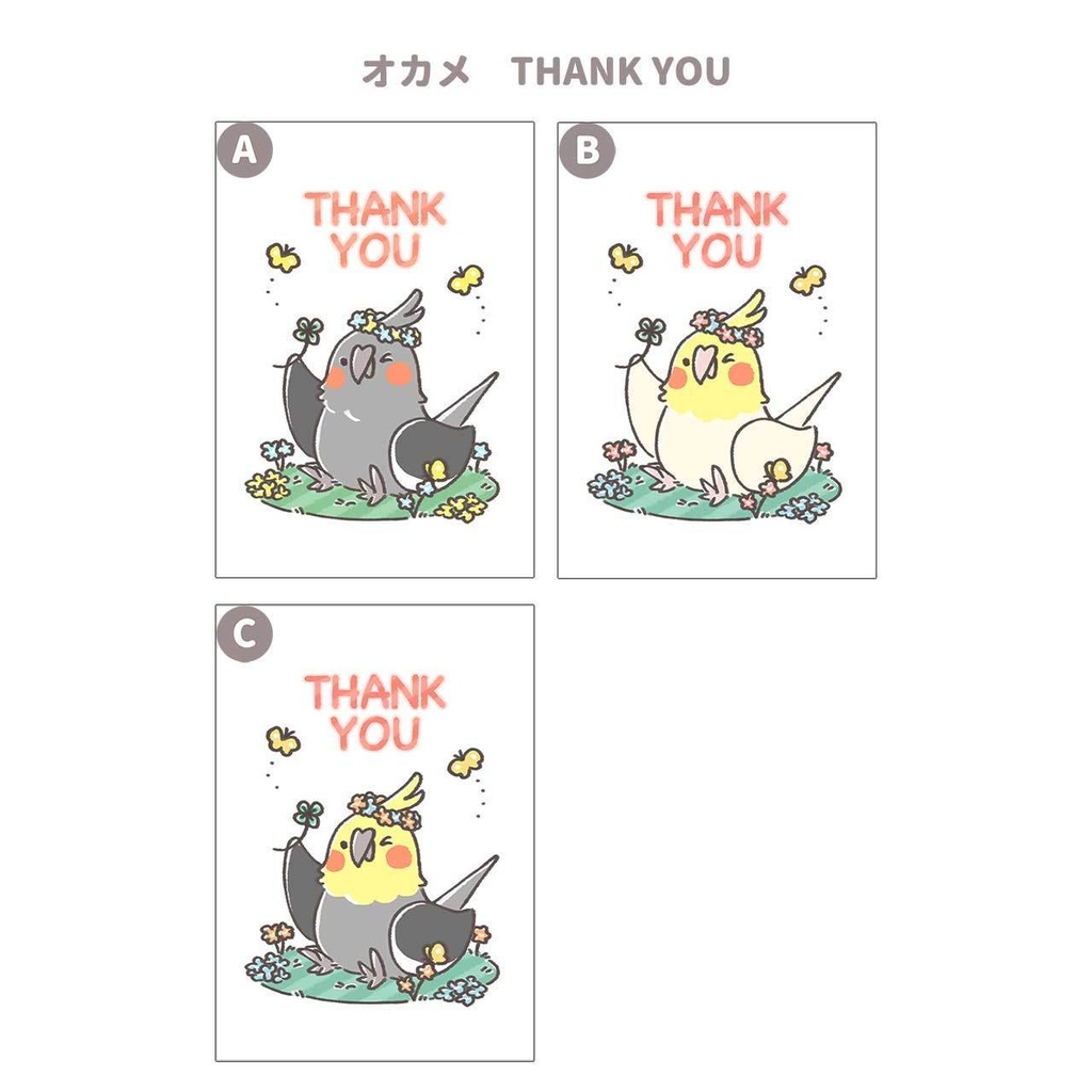 グリーティングカード セキセイ オカメ 文鳥 8種