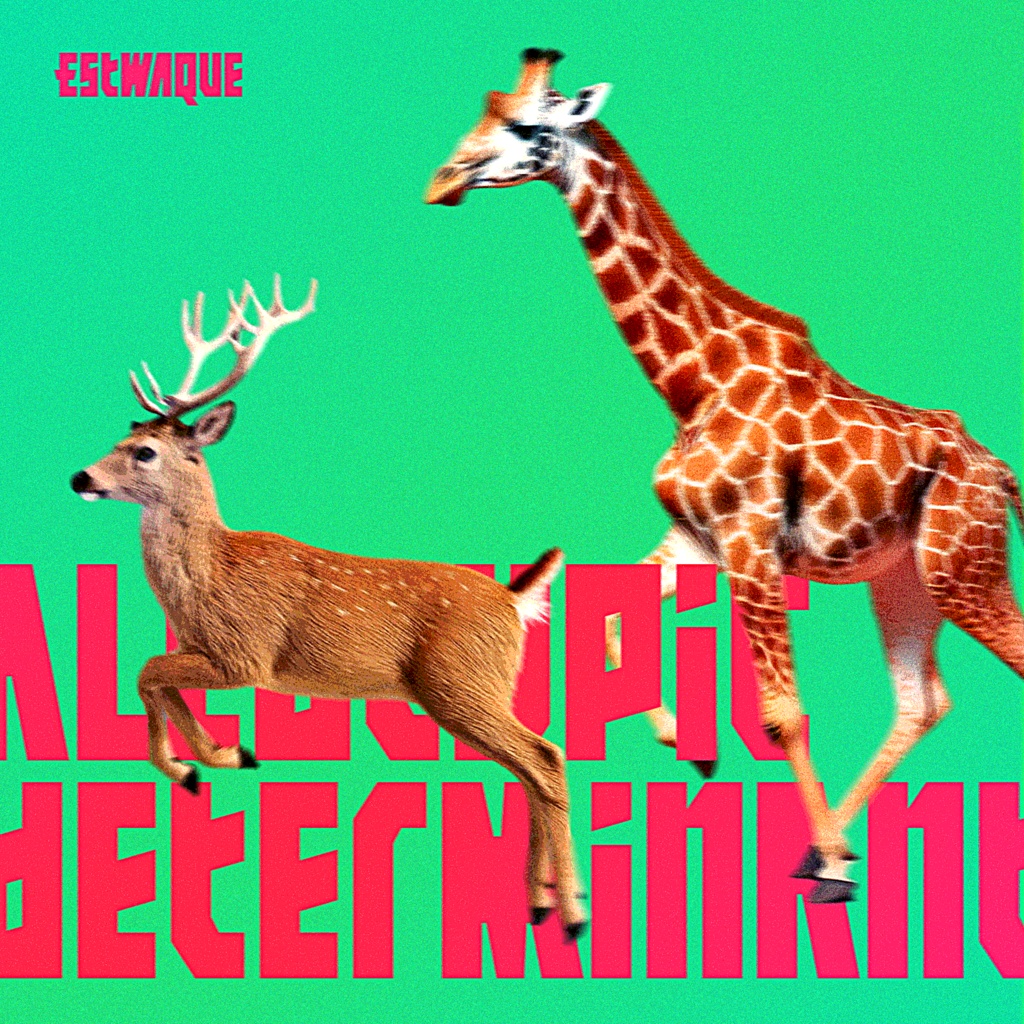 欧文フォント「Estowaque」 | Estowaque Font