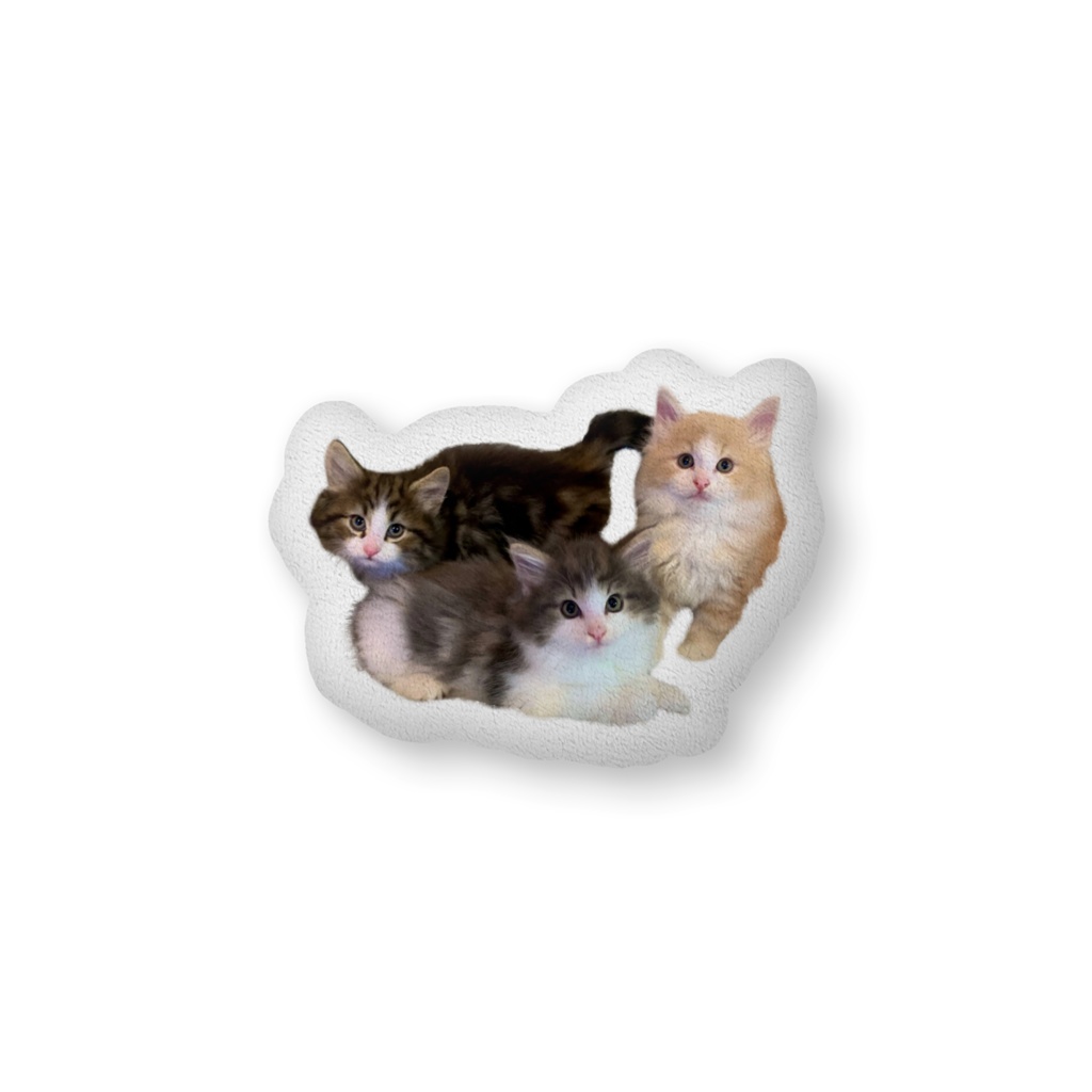 AUROERAMEW ふかふかクッション Trio