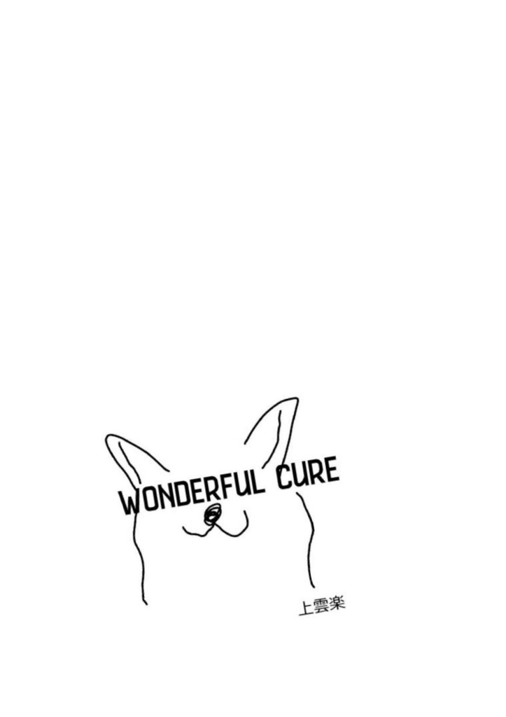 WONDERFUL CURE