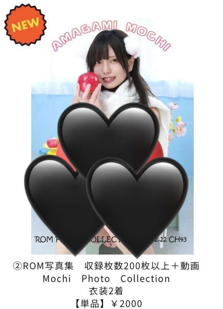 CH43新刊☆ROM写真集