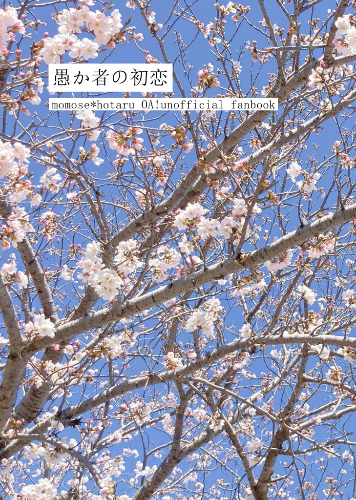 愚か者の初恋