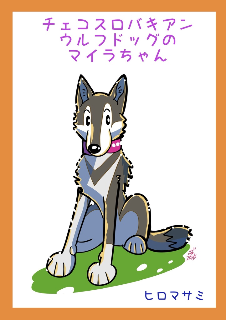 チェコスロバキアンウルフドッグのマイラちゃん