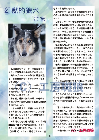 魂乃狼犬/狼犬のちょっとスピリチュアル体験本