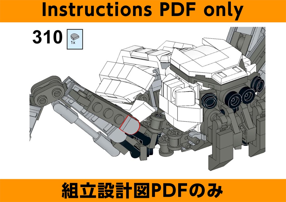 TFM_B_15_JumpingSpider