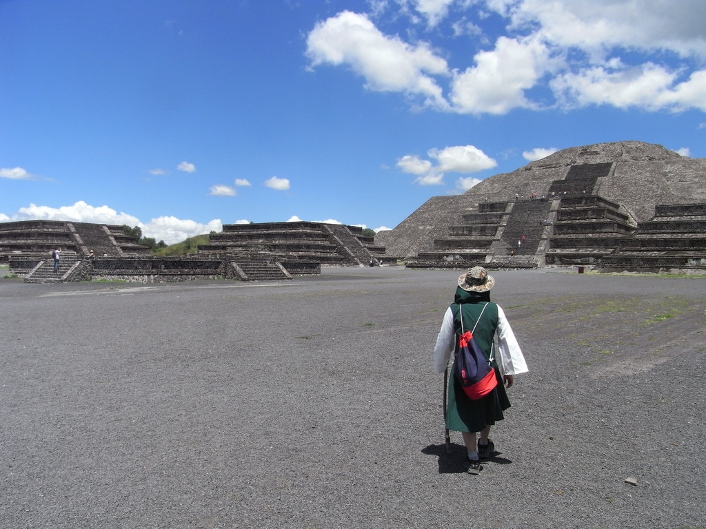 メキシコ遠征記録