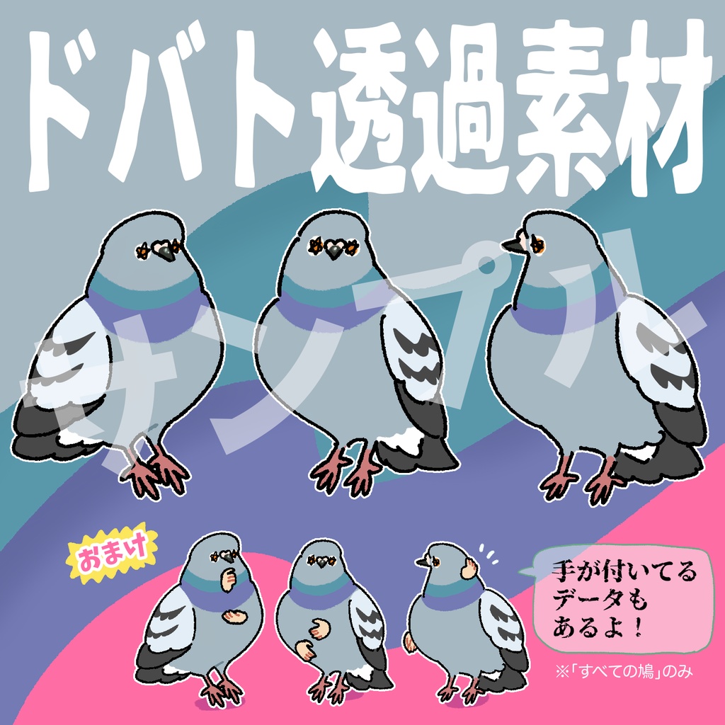 鳩(ドバト)の透過イラスト素材