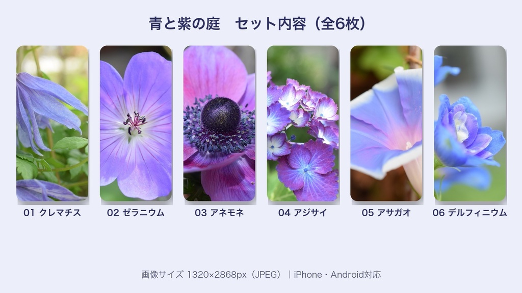 【スマホ壁紙】青と紫の庭|庭の花 6枚セット