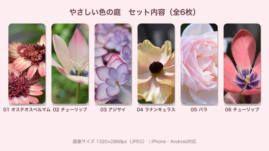 【スマホ壁紙】やさしい色の庭|庭の花 6枚セット