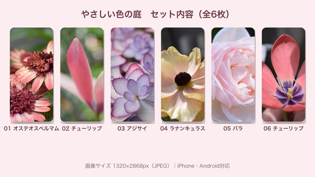 【スマホ壁紙】やさしい色の庭|庭の花 6枚セット