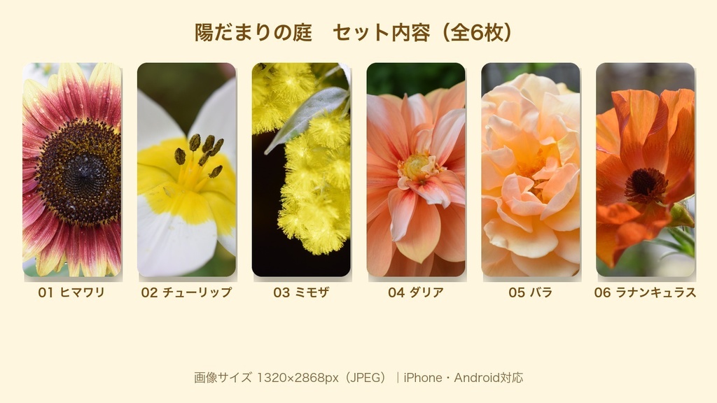 【スマホ壁紙】陽だまりの庭|庭の花 6枚セット