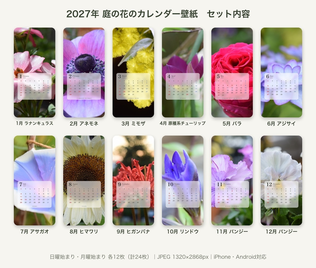 【スマホ壁紙】2027年 庭の花のカレンダー|12か月・日曜/月曜始まり 24枚