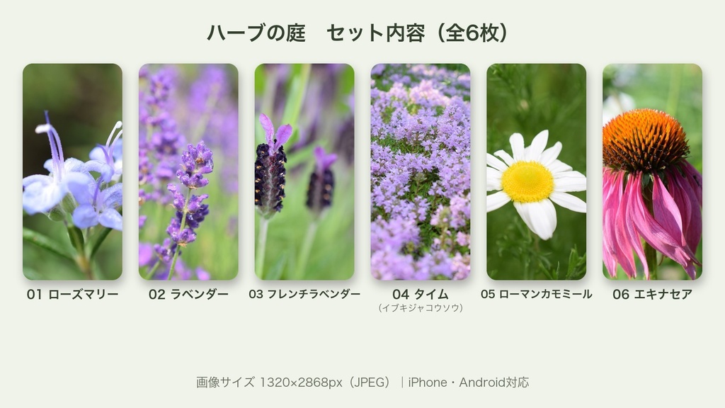 【スマホ壁紙】ハーブの庭|庭のハーブの花 6枚セット