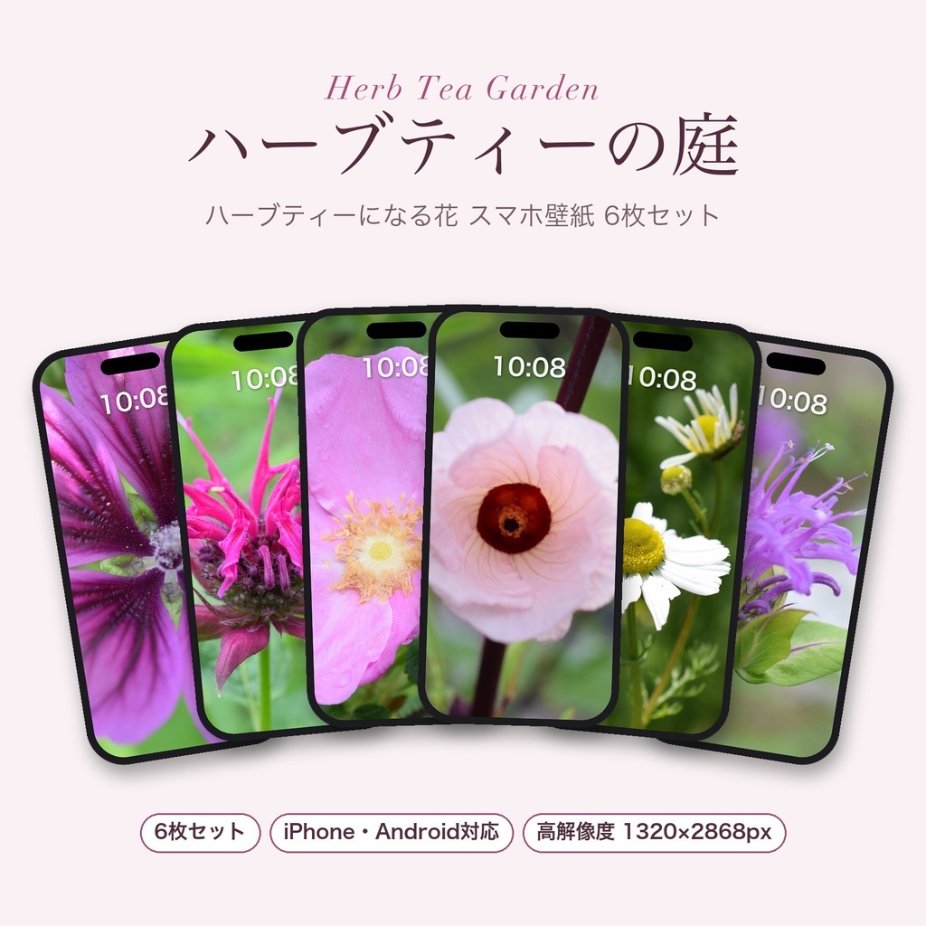 【スマホ壁紙】ハーブティーの庭｜ハーブティーになる花 6枚セット