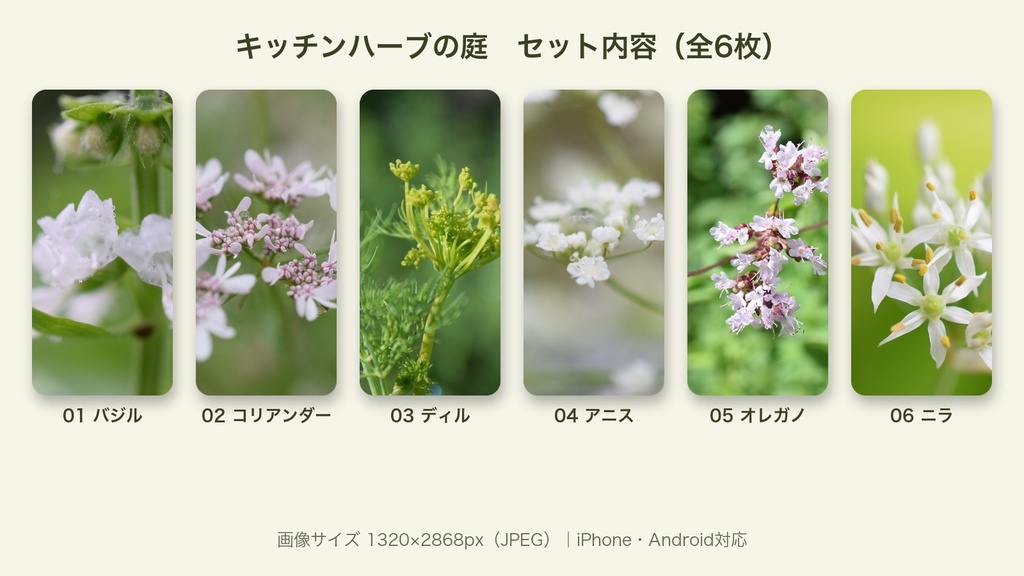 【スマホ壁紙】キッチンハーブの庭|料理に使うハーブの花 6枚セット