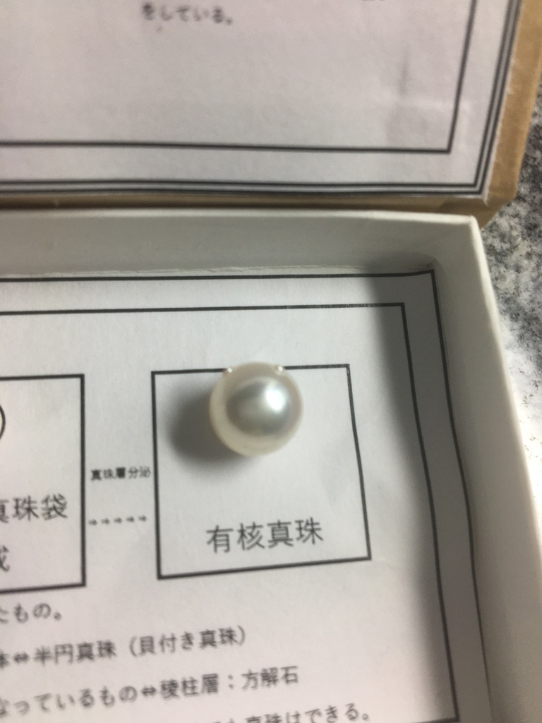 真珠標本(有核真珠の出来方)