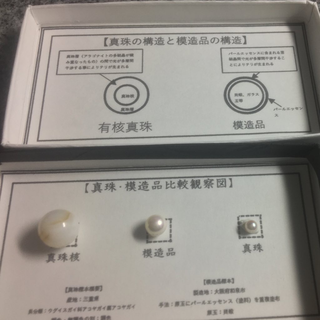 真珠・模造品比較観察標本