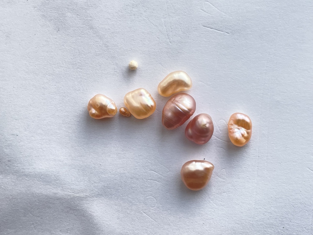 淡水真珠の話(同人書籍版)