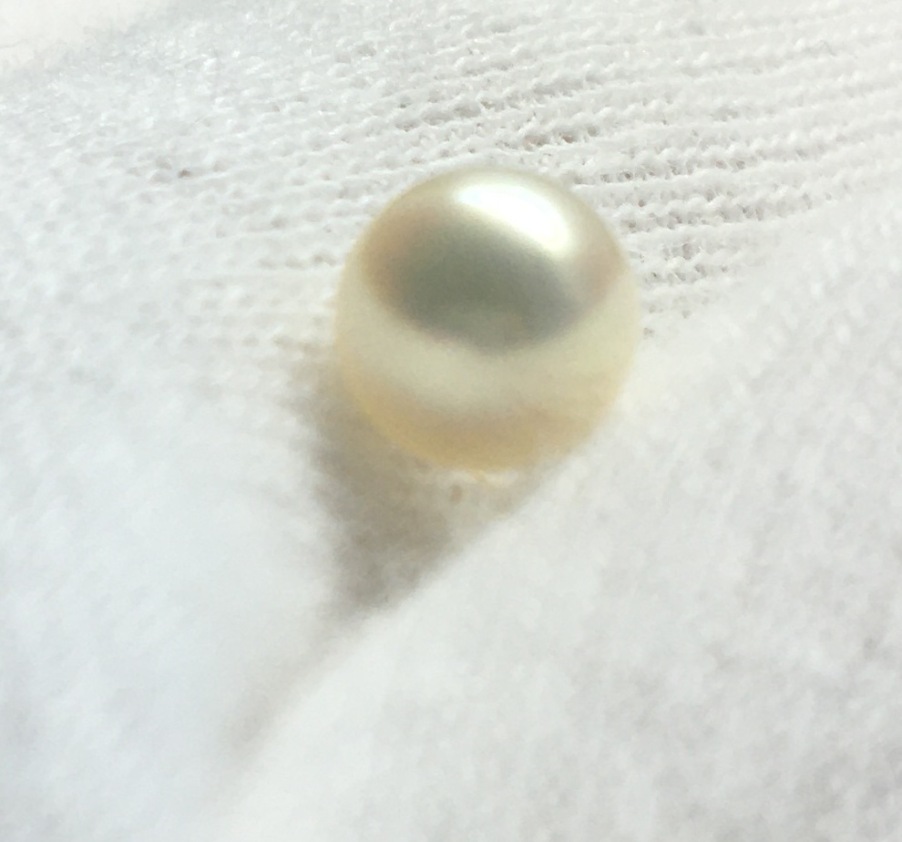 淡水真珠の話(同人書籍版)