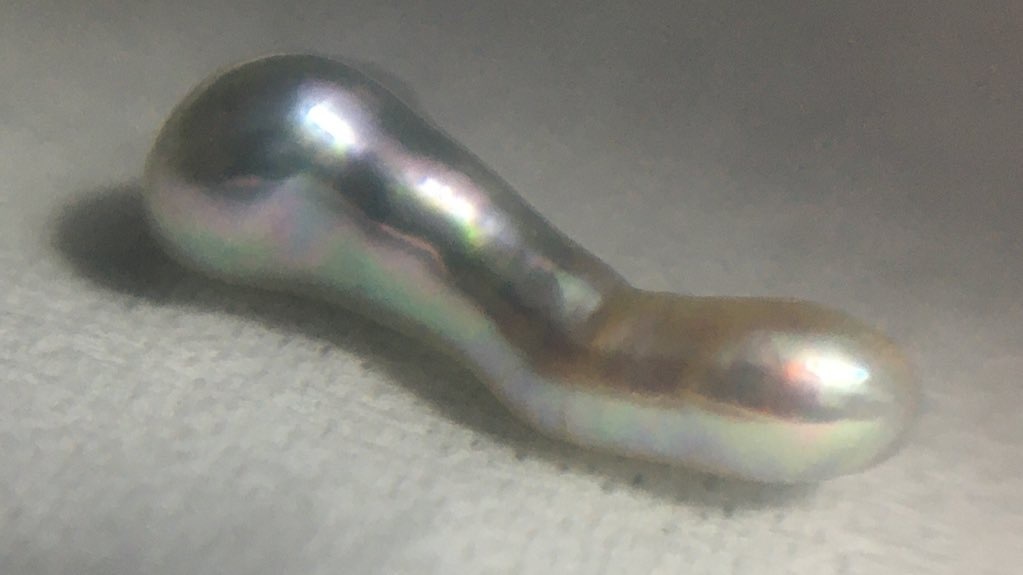 淡水真珠の話(同人書籍版)