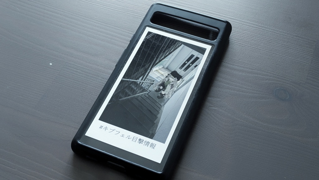 #キプフェル目撃情報