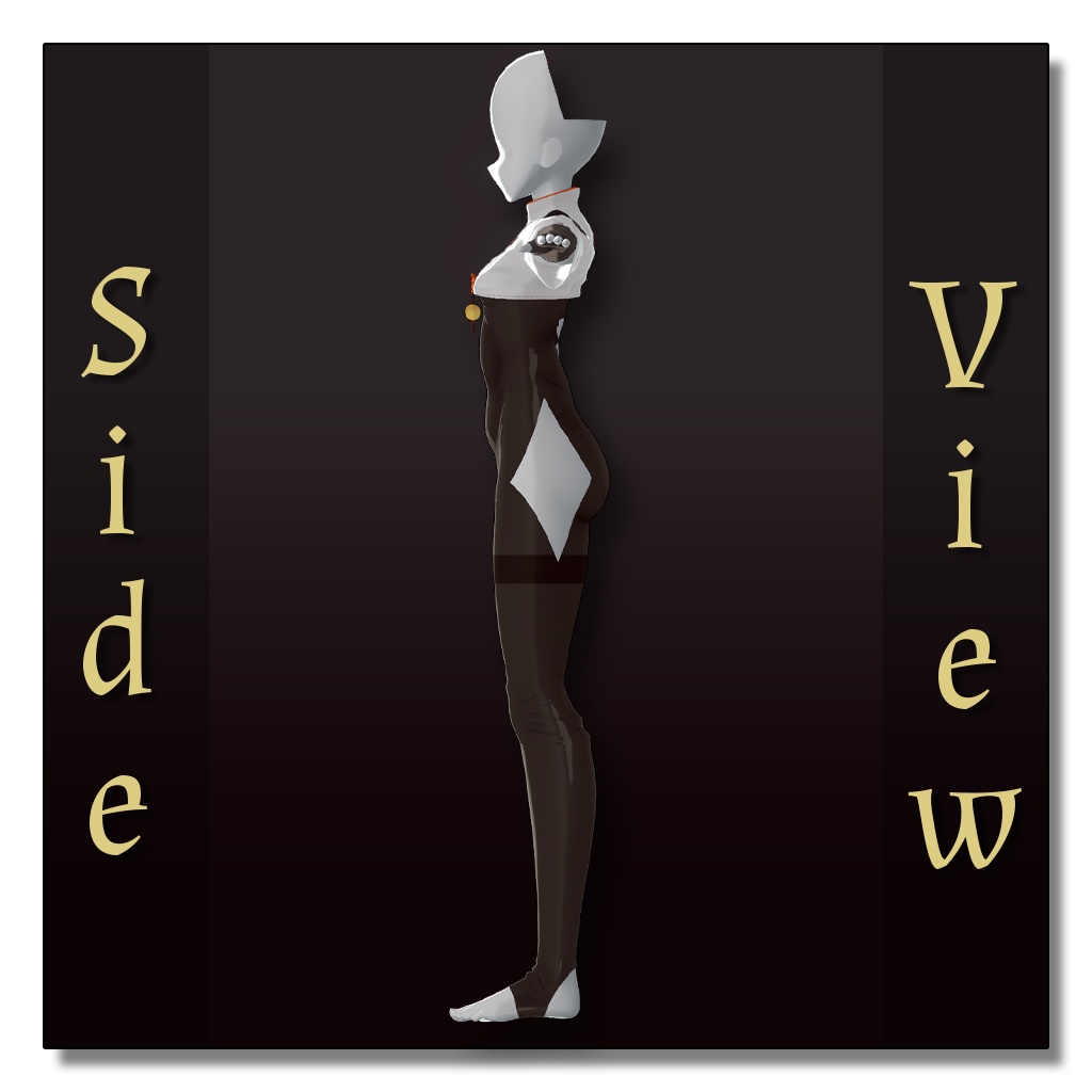 Chinese Bodysuit Multiple Avatars | 中国風ボディスーツ 複数アバター