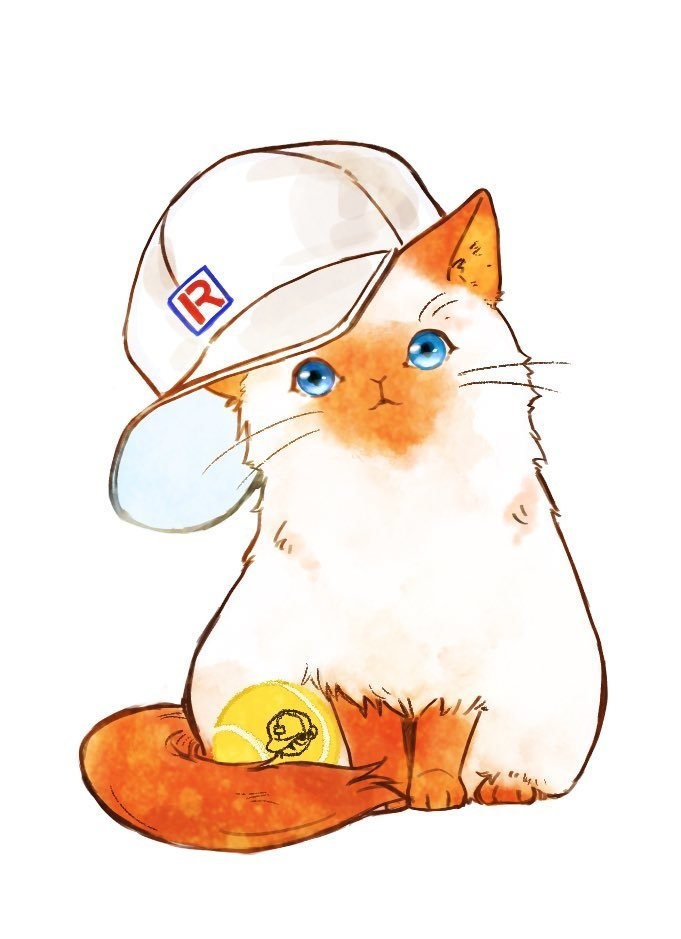 クッションストラップ