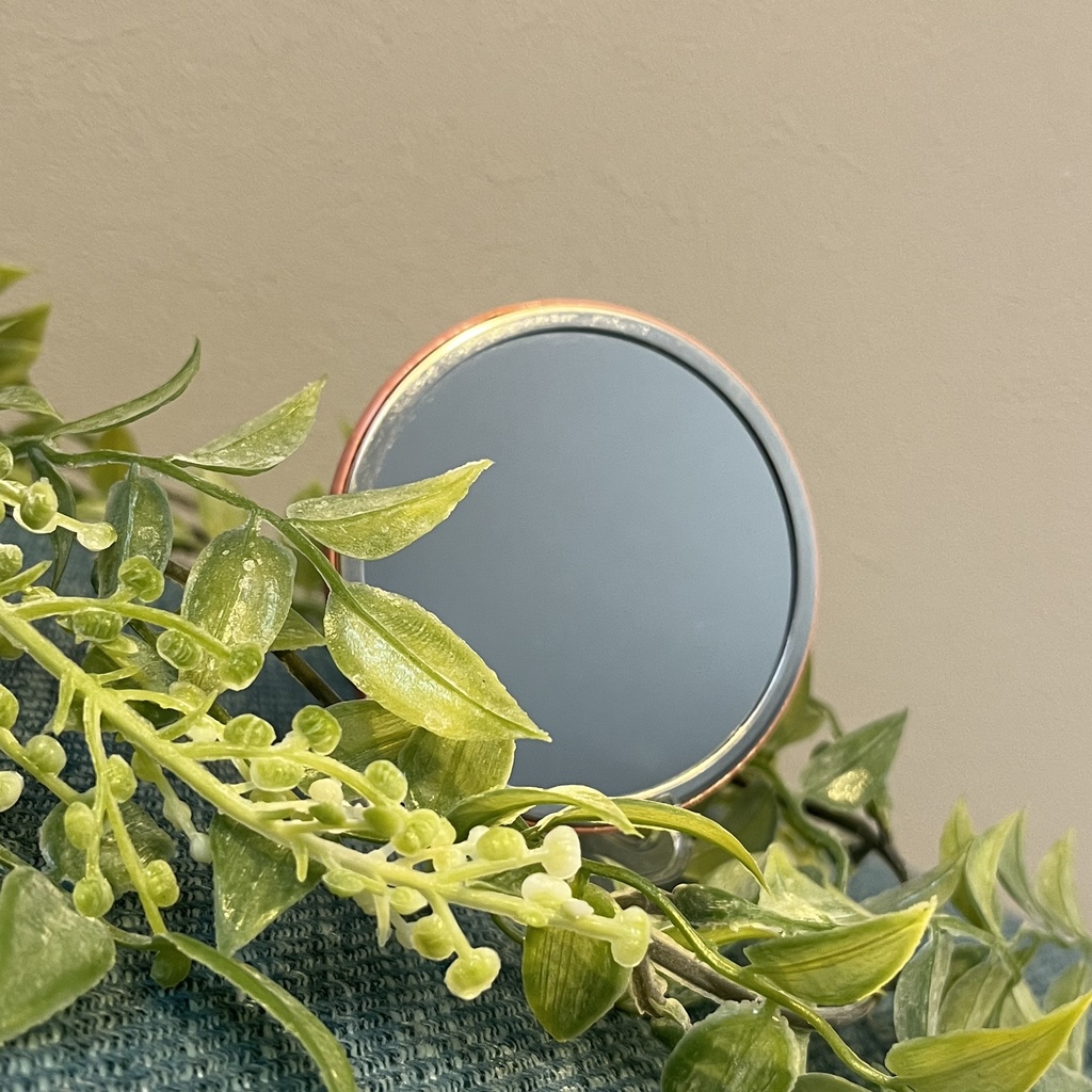 おさかな缶ミラー