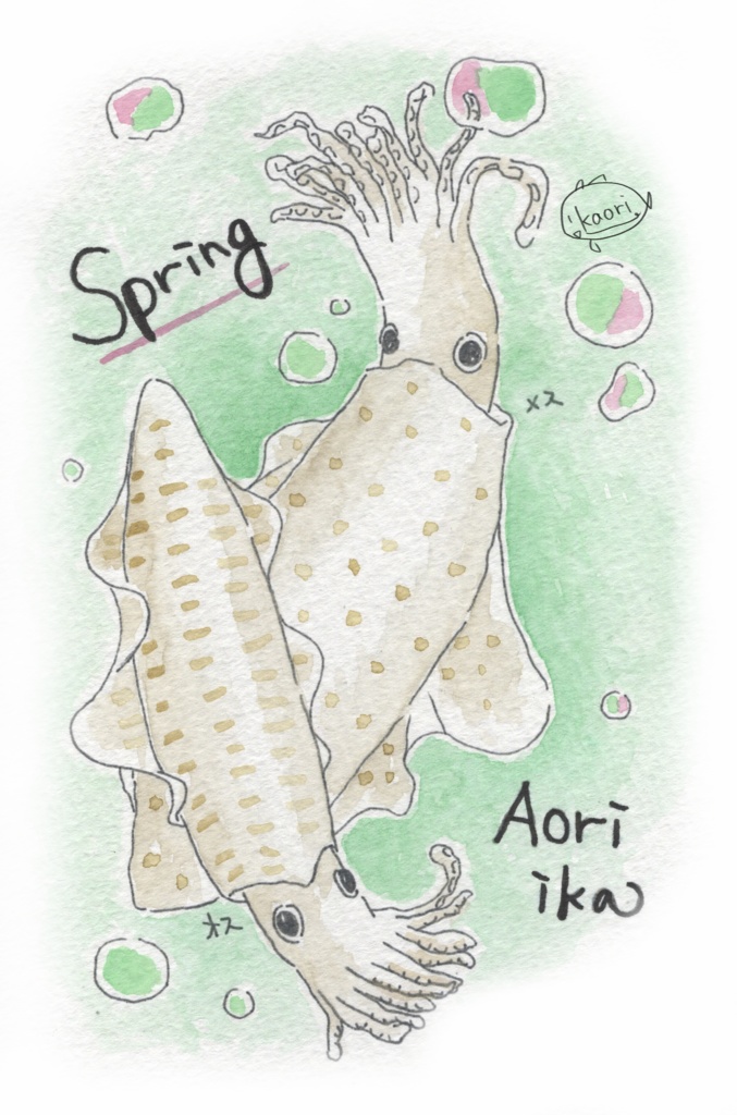 ポストカード(イカさん)