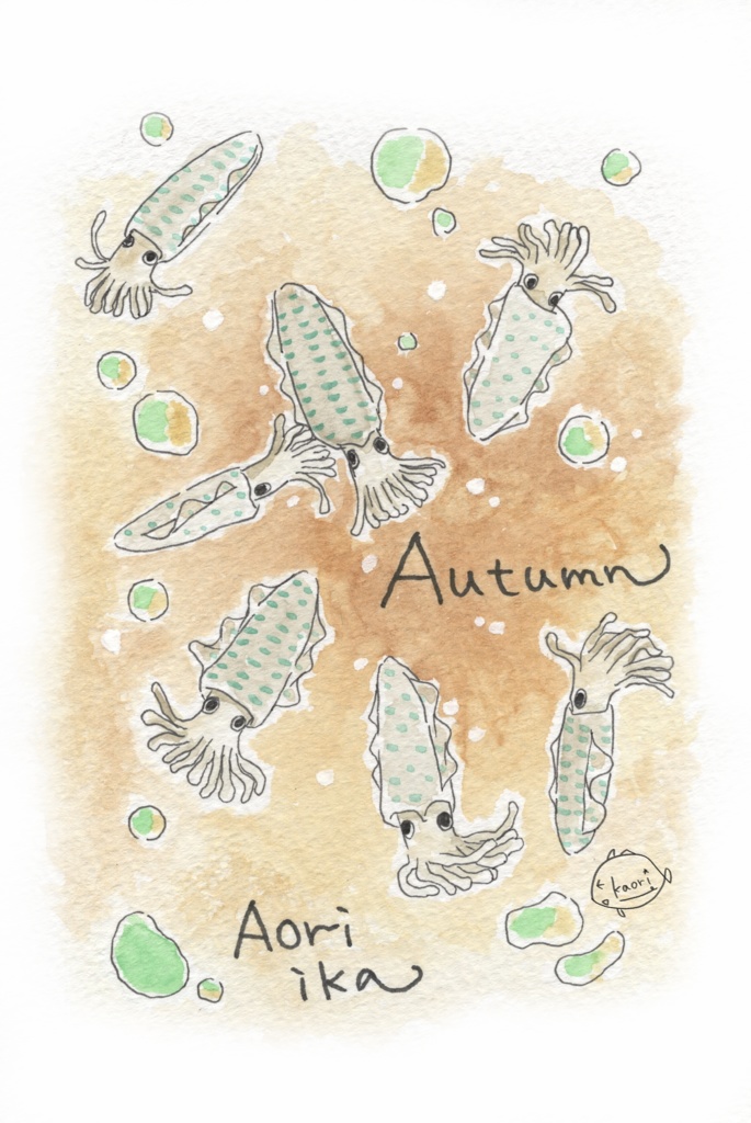 ポストカード(イカさん)