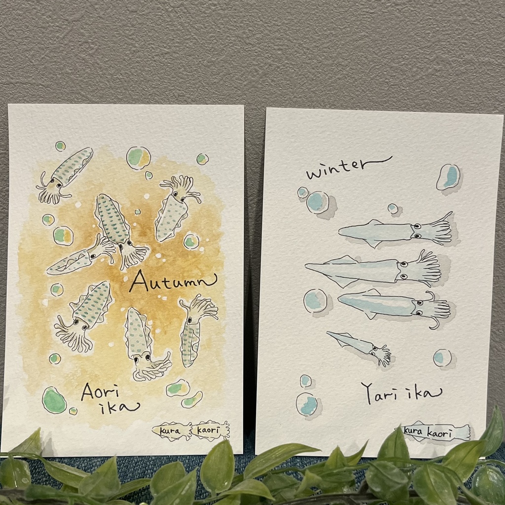 ポストカード(イカさん)