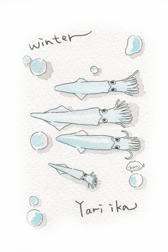 ポストカード(イカさん)